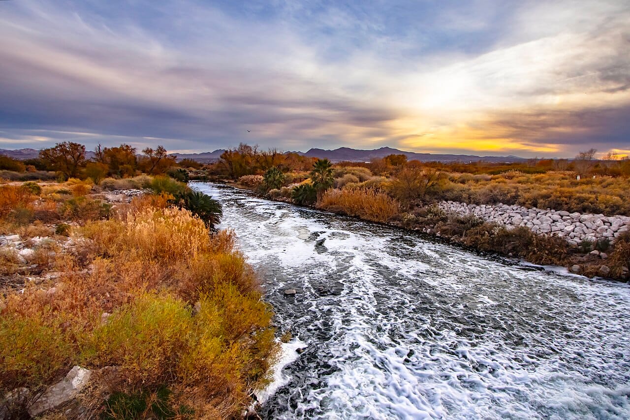 Las Vegas Wash at Clark County Wetlands Park at sunrise. Regional illustration, not the practice location. Photo by Renee Grayson, CC BY 2.0.