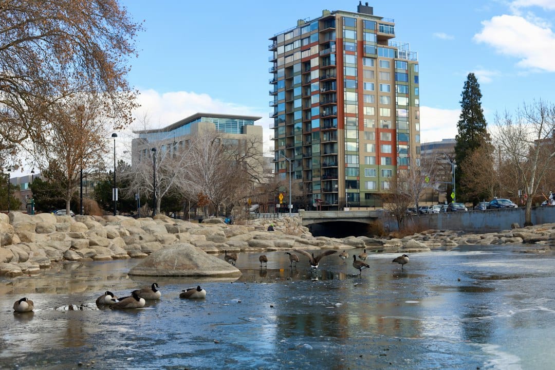 Reno regional skyline and river, illustrative area imagery, not practice premises. Photo by Manny Becerra on Unsplash.