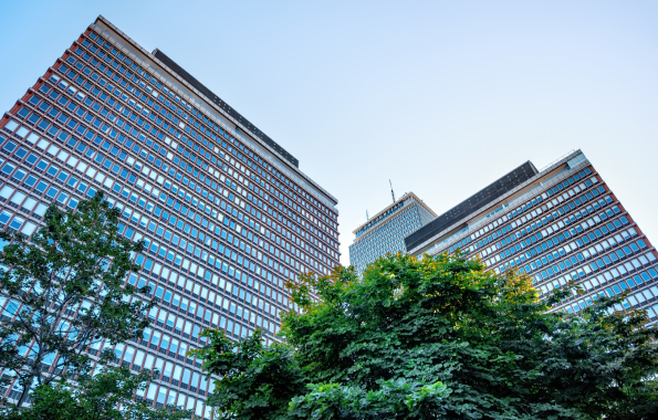 What's Included in Our Flat-Fee Lease Renewal Package
